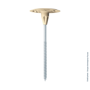 Cheville Rosace pour isolation 80mm - support Bois Termofix 6h-nt120 - bte100u